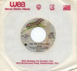 Painter : Going Home to Rock and Roll - Tell Me Why